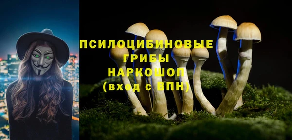гидропоника Абдулино