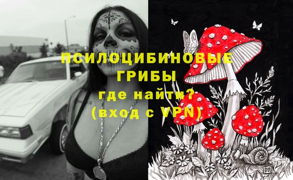 соль ск Абаза