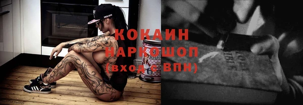 соль ск Абаза